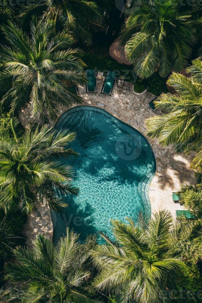 A pool with palm trees in the background. The pool is surrounded by chairs. The chairs are green and are placed around the pool photo