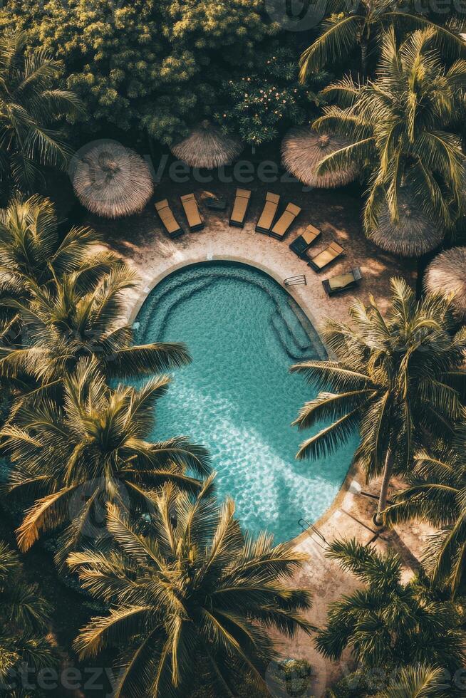 A pool surrounded by palm trees and umbrellas. The pool is surrounded by a lot of trees and there are several umbrellas around the pool photo