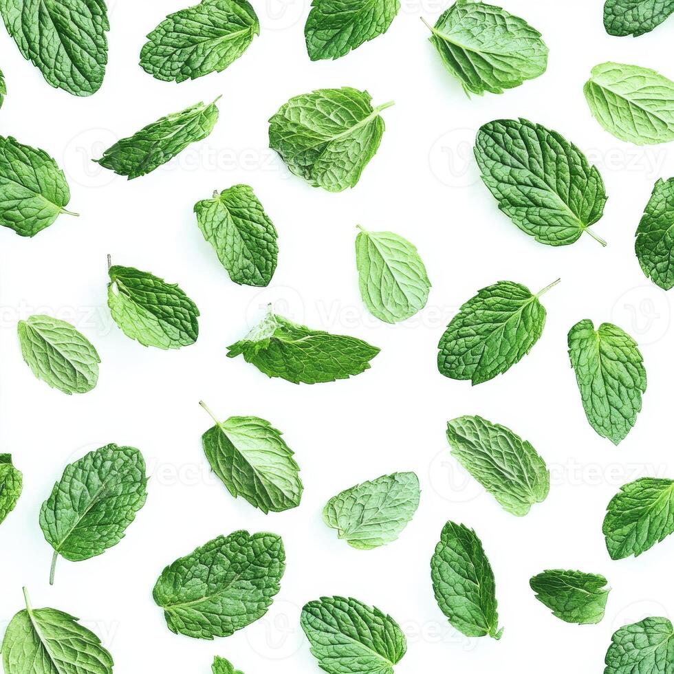 A close up of green leaves with a white background. The leaves are scattered all over the image, creating a sense of abundance and freshness photo