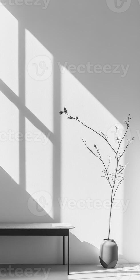 Minimalist Interior with Sunlit Shadows and Elegant Vase photo