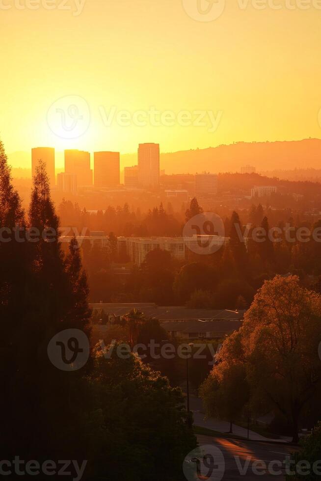 Scenic Sunset Over Urban Landscape with Silhouetted Trees photo