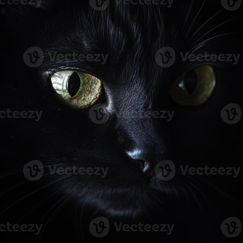 This captivating close up of a black cat showcases its striking green eyes and mysterious expression. The dark surroundings enhance its alluring features. photo