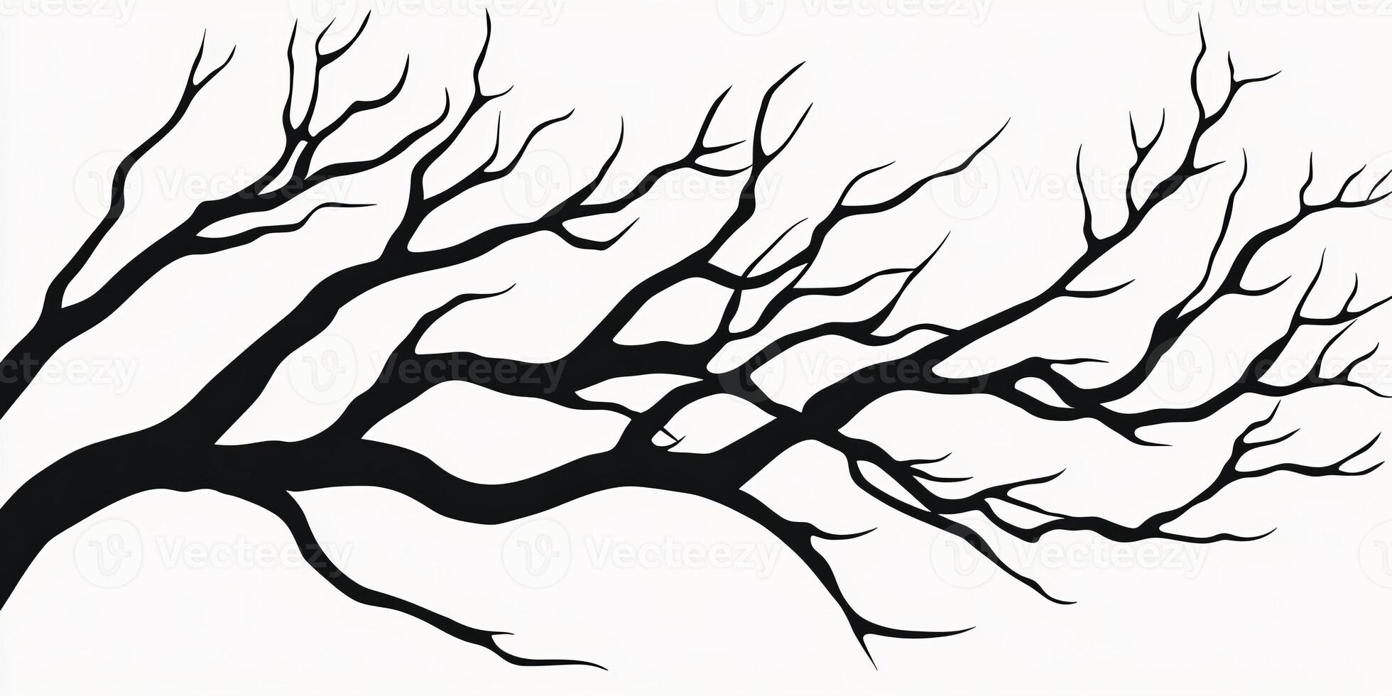 Black silhouette of tree branches on a white background, showcasing nature's intricate patterns and artistic beauty. photo
