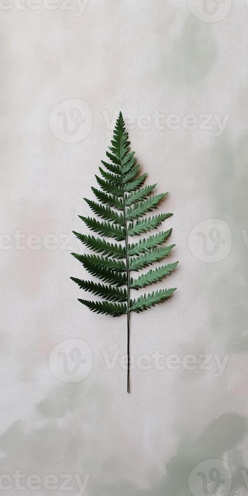 Minimalist Botanical Art Featuring a Single Fern Leaf on a Soft Pastel Background photo