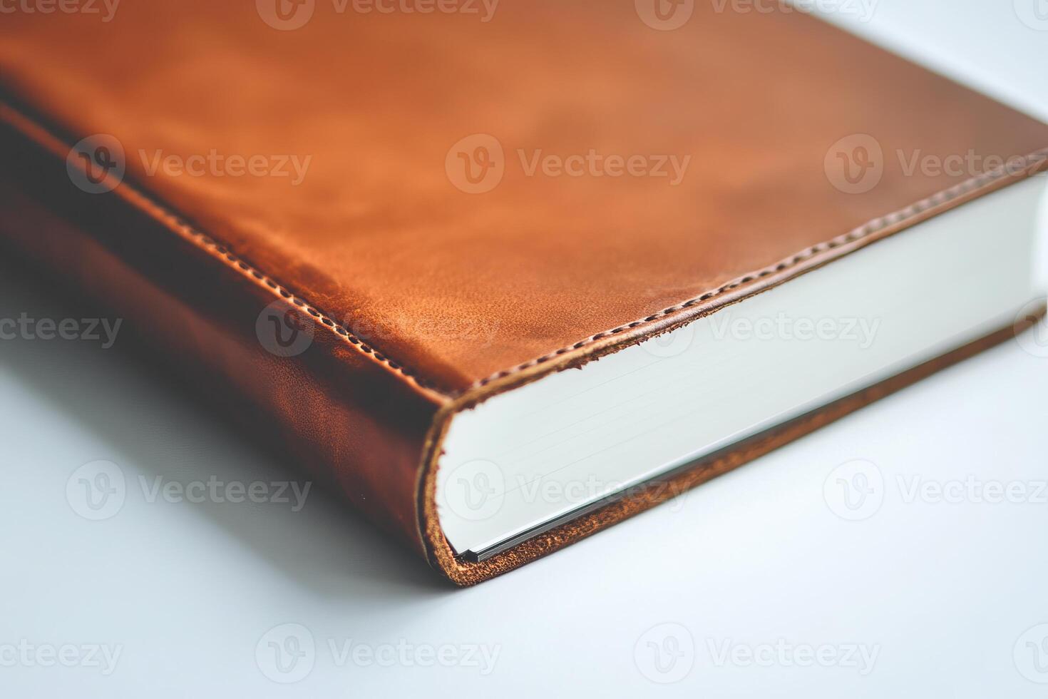 A leather bound book with a white spine and a brown cover photo