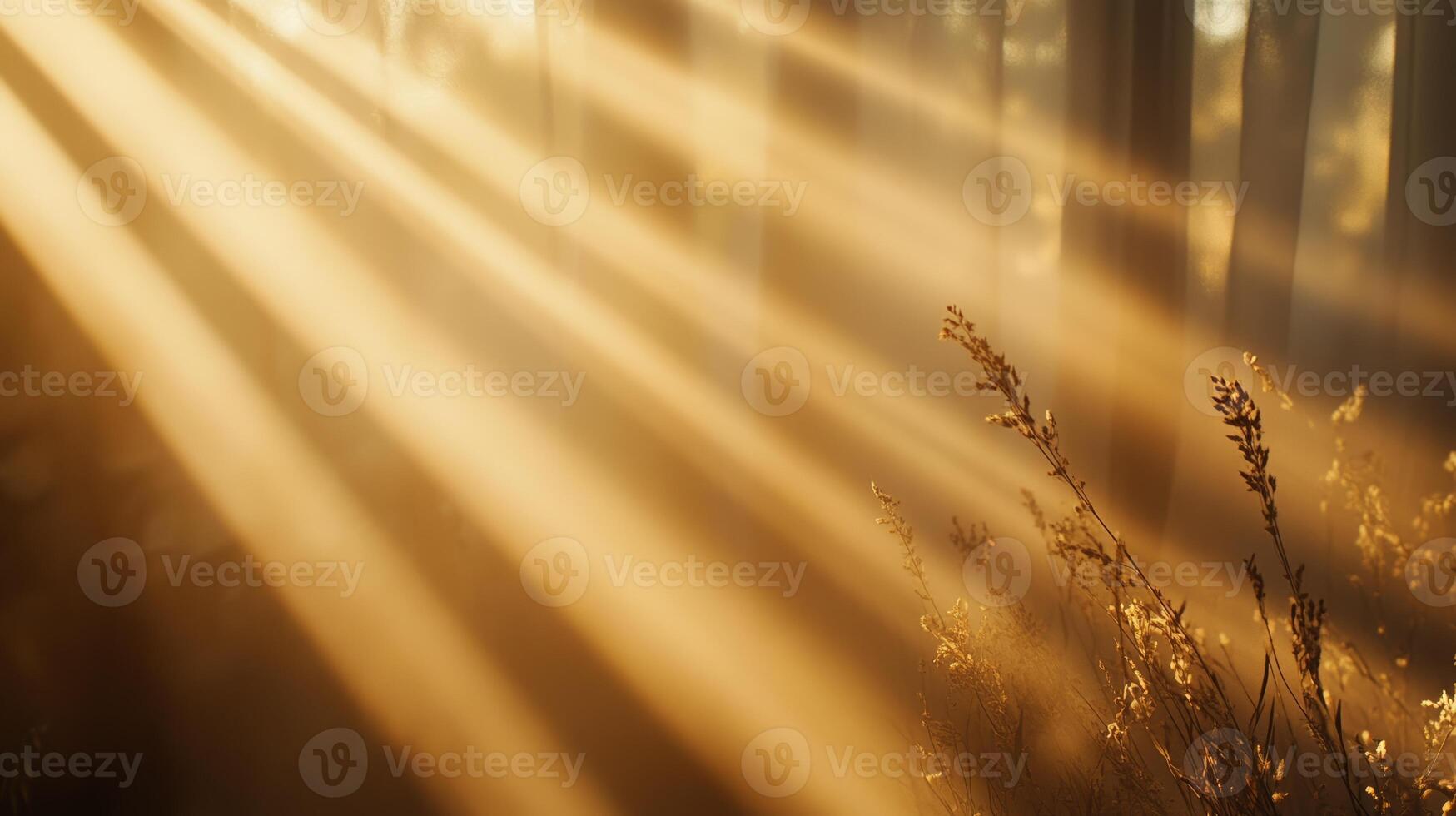 Soft Golden Light Filtering Through Trees in a Serene Landscape photo