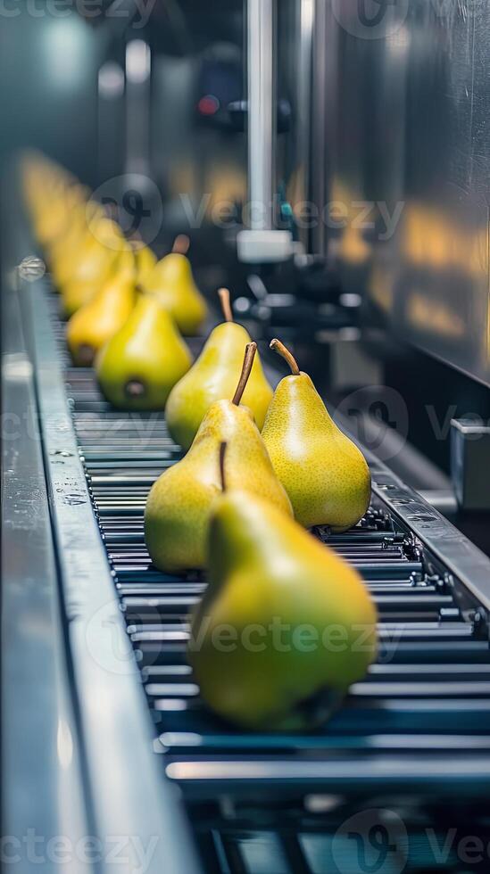 Pears on a Modern Food Processing Conveyor Line photo