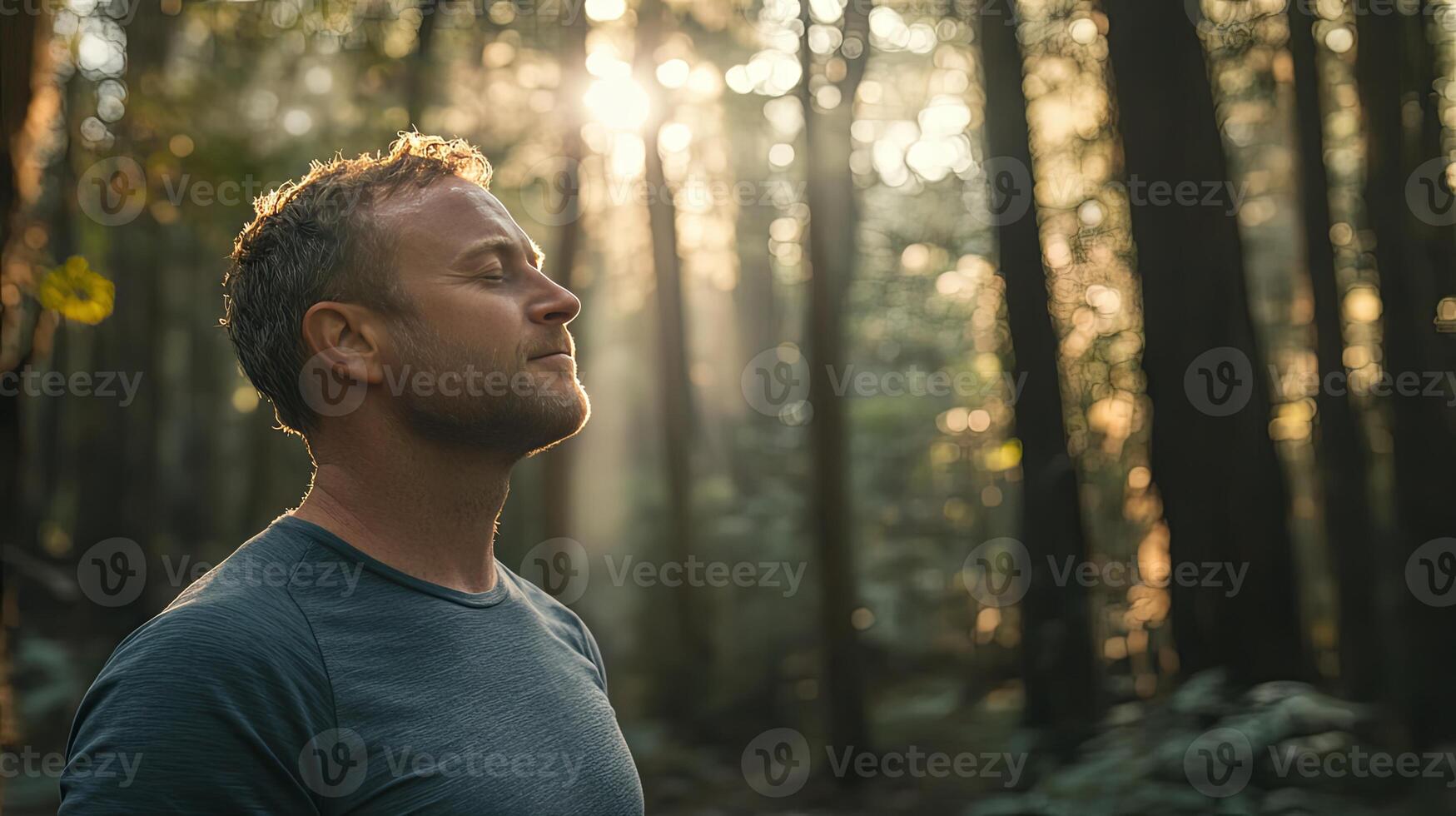 Peaceful Moment in the Forest Finding Serenity in Nature photo