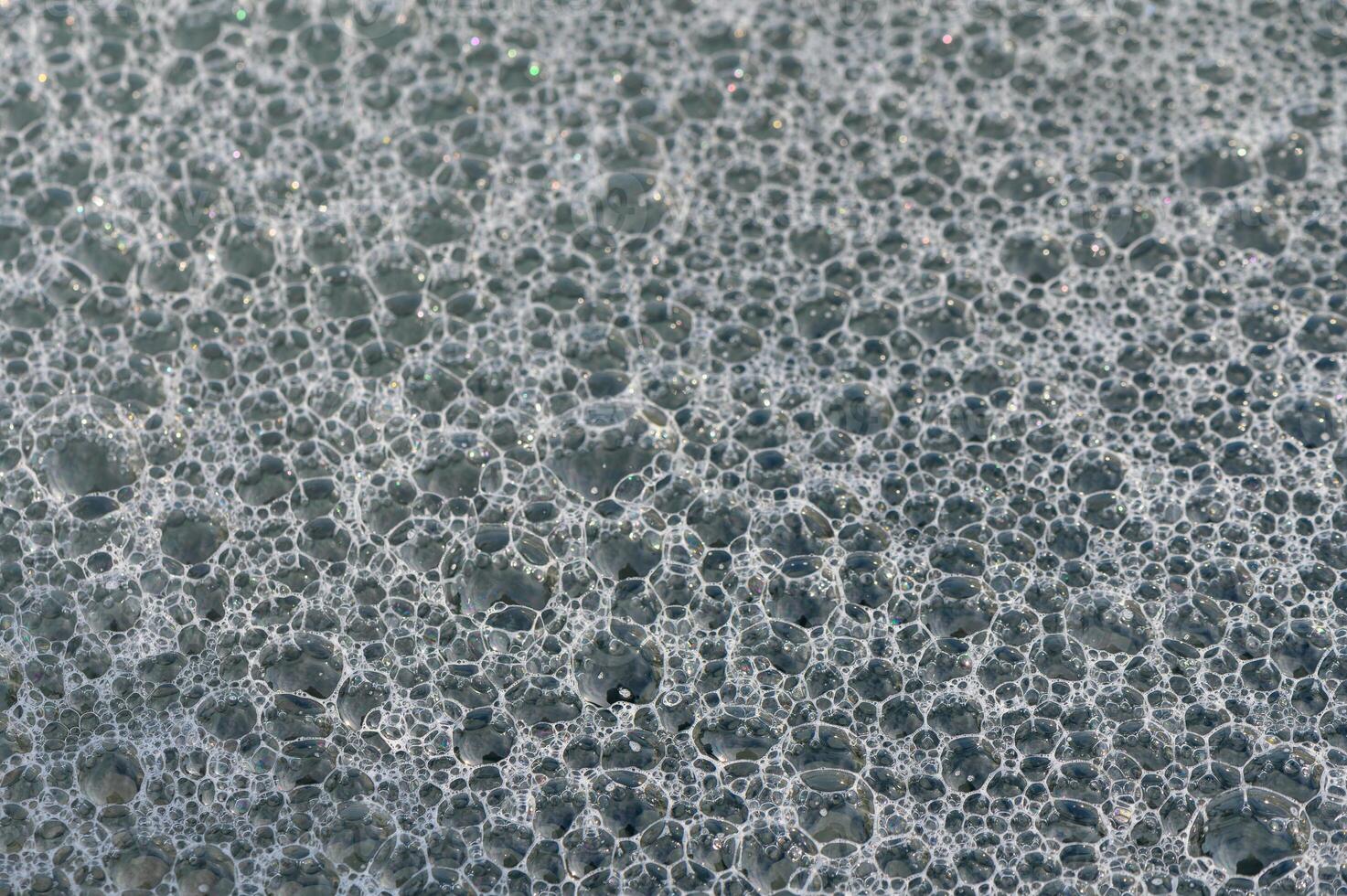 Bubbles forming a delicate foam texture in soft sunlight on a calm water surface photo