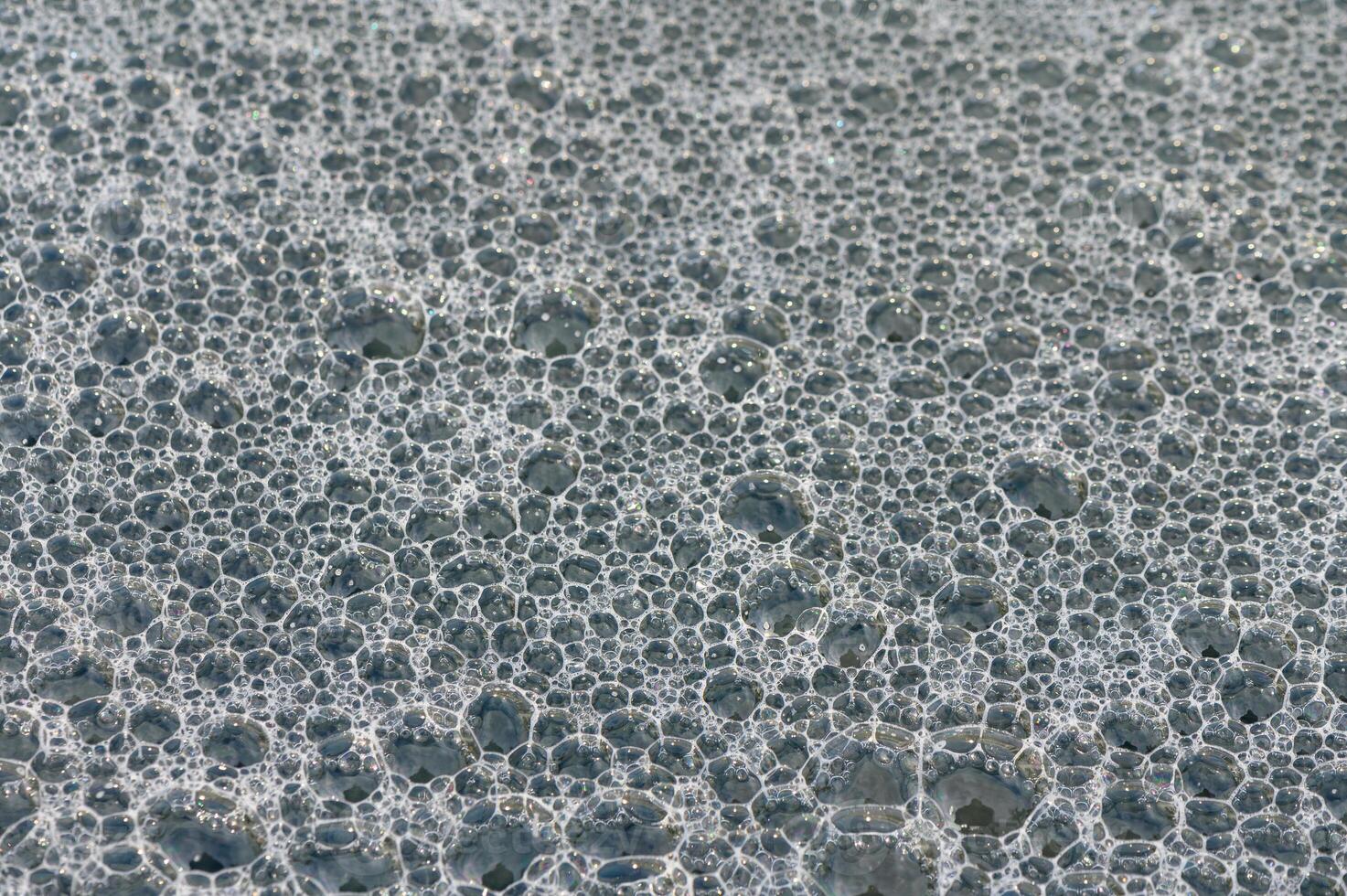 Tranquil bubbles create a mesmerizing surface texture on water at the break of dawn photo