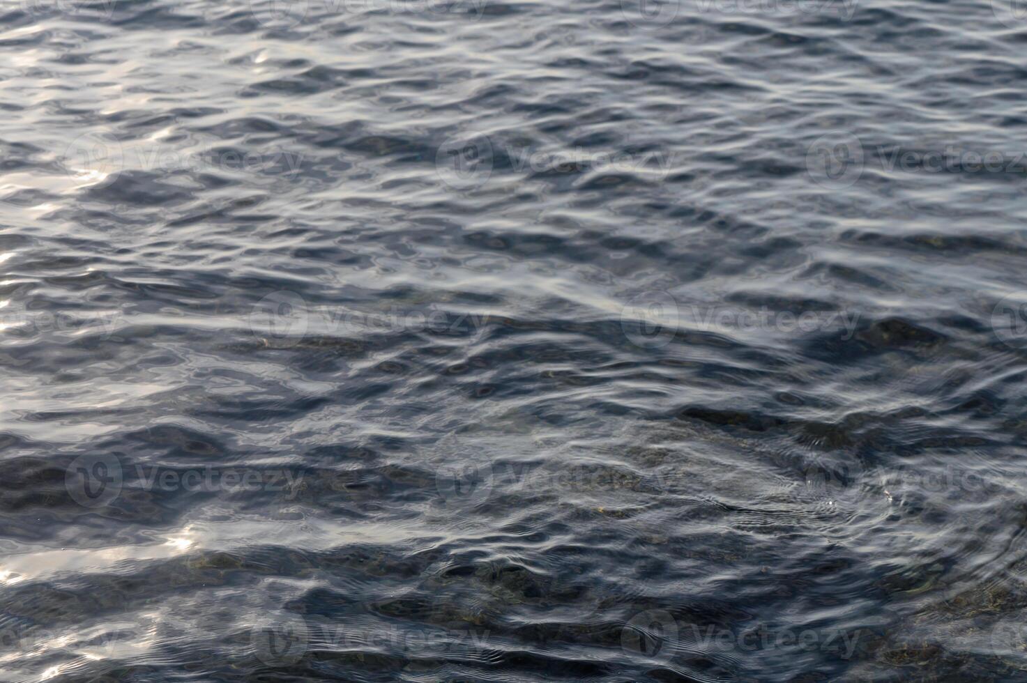 Calm waters ripple gently under the soft glow of the evening sun near the tranquil shoreline photo