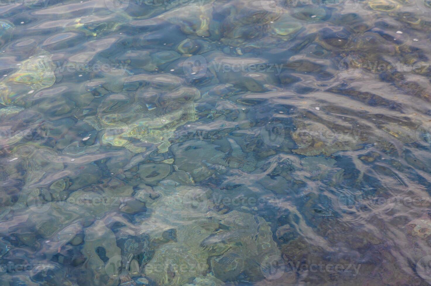 Clear blue water reveals hidden treasures beneath the surface at a tranquil coastal location photo