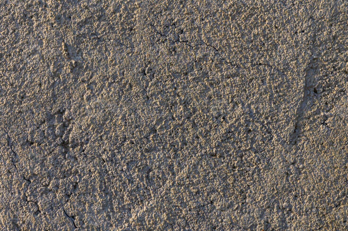 Surfaces of earth show intricate textures and patterns under natural light in rich tones of gray photo