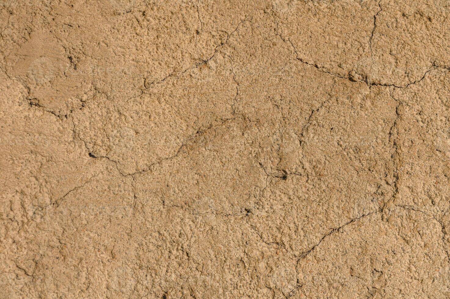 Exploring the natural texture and patterns of earthy soil in a sunlit outdoor setting photo