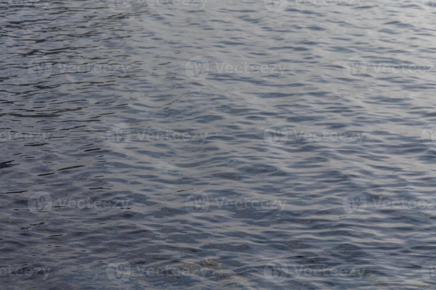 Rippling surface reflects soft light at sunset over tranquil waters photo