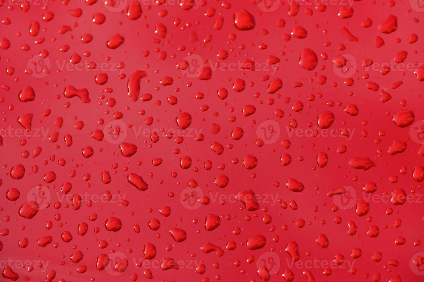 Raindrops create beautiful patterns on a vibrant red surface under soft lighting photo