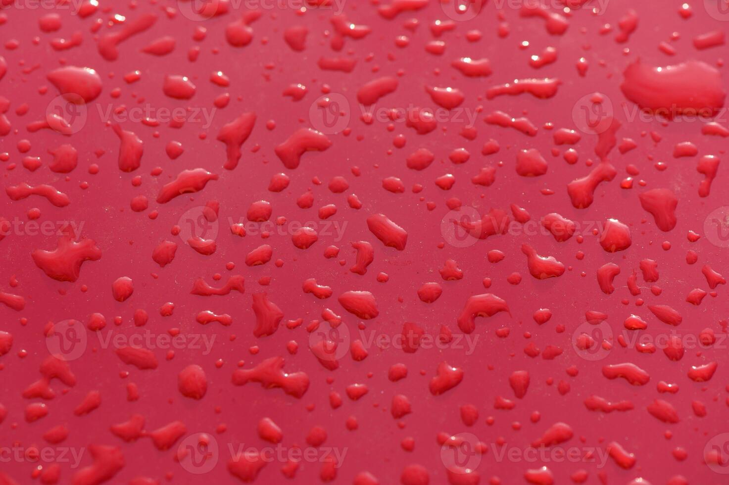 Vibrant droplets of water glisten on a smooth red surface after an evening rain shower photo