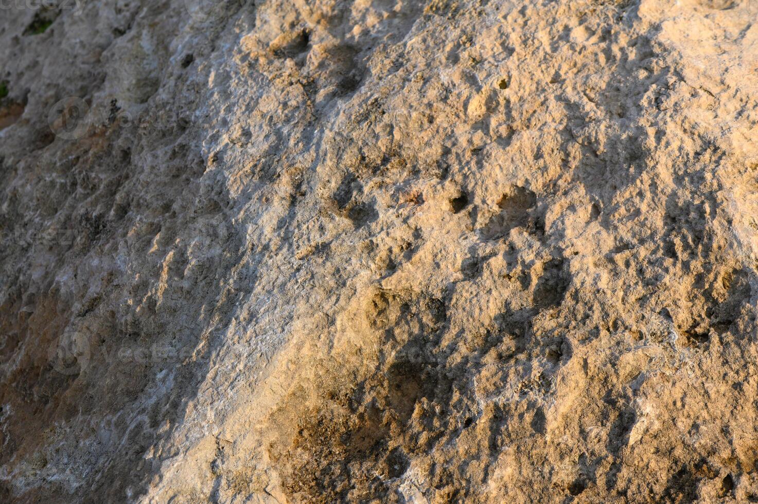 Textured surface of a rocky terrain showcasing intricate patterns in natural light during sunset photo