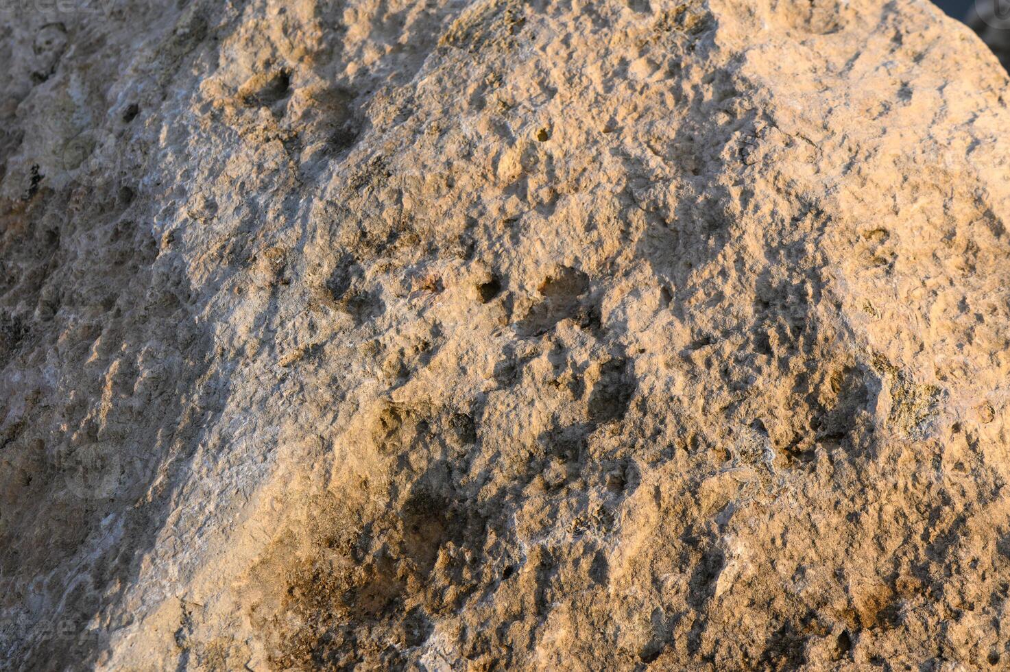 Textured stone surface captures light during golden hour near a tranquil riverbank photo