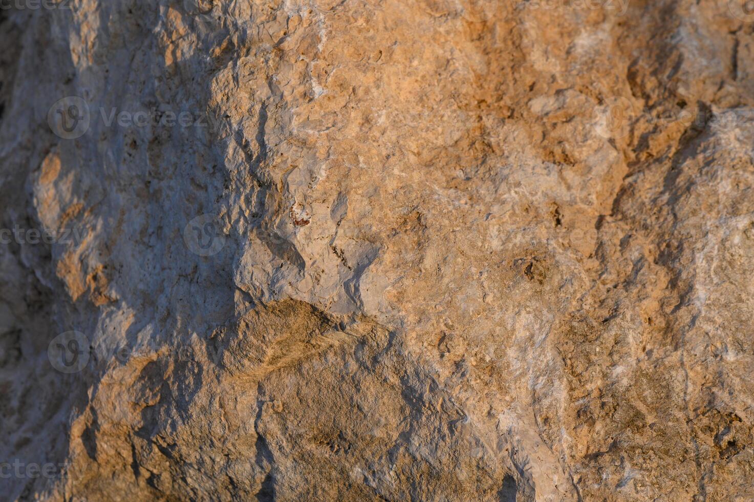 Close-up view of textured rock surface showcasing earthy tones and natural patterns under soft sunset light photo