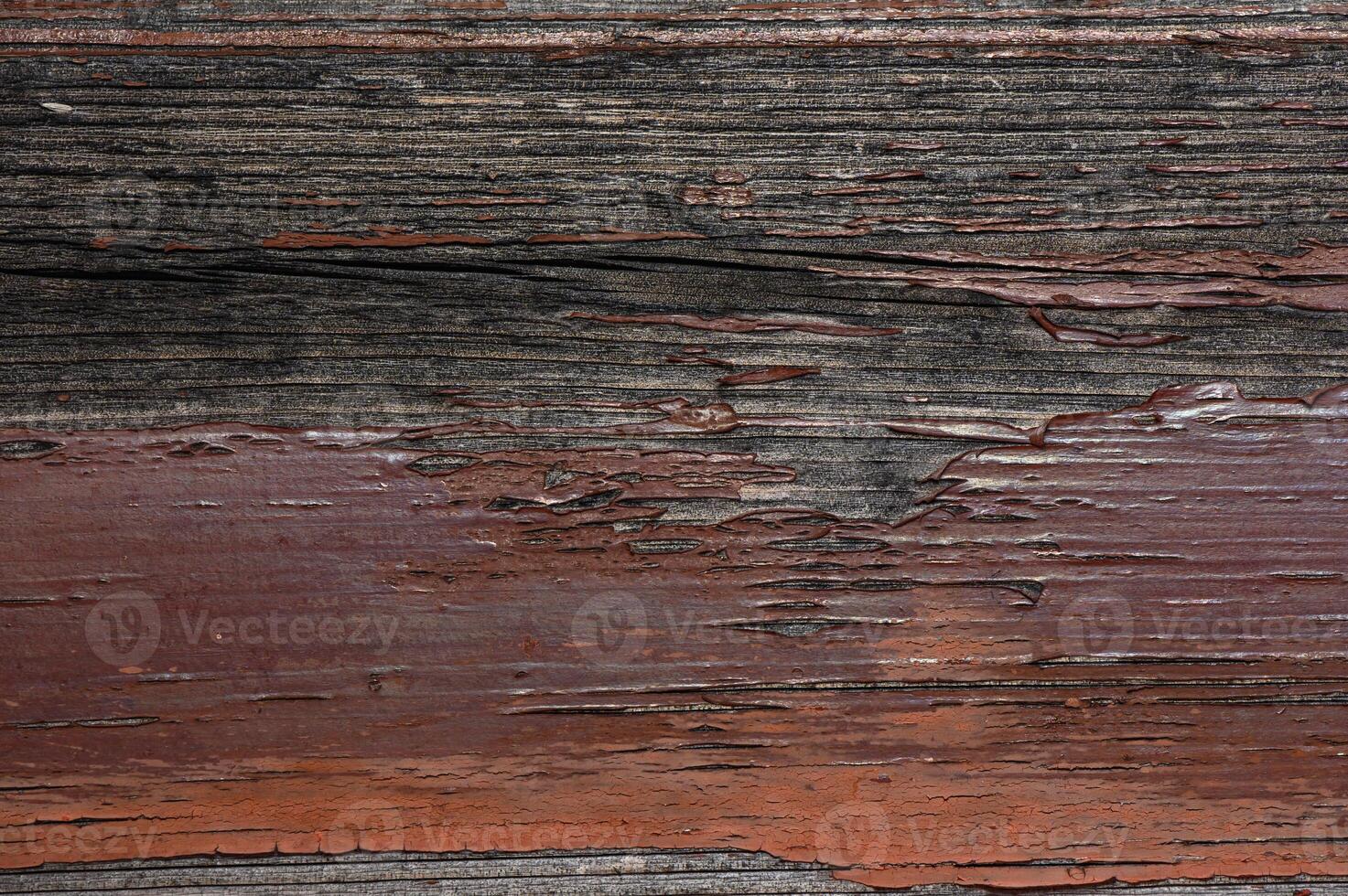 Textures of weathered wood reveal nature's artistry in rich tones and patterns photo