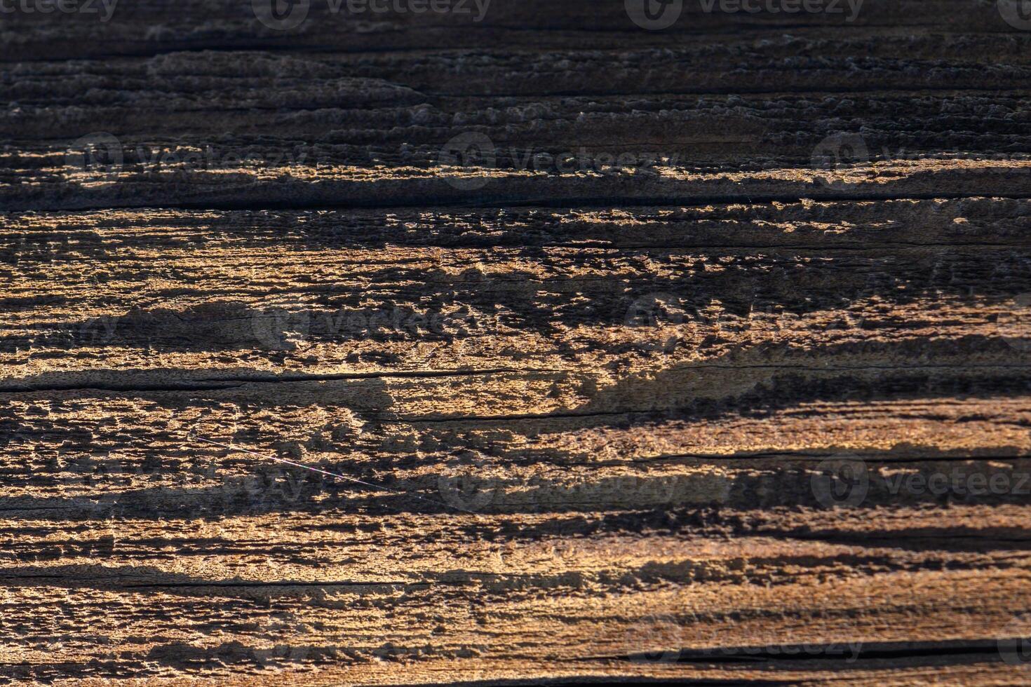 Textured wooden surface illuminated by warm sunlight highlighting natural patterns and hues photo