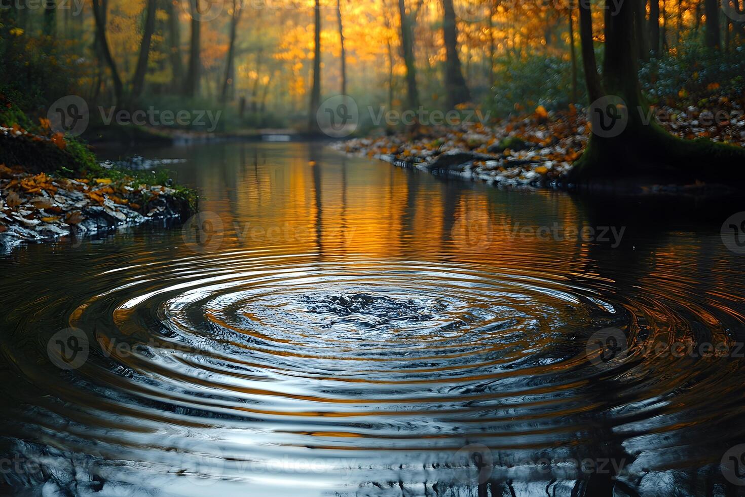 Tranquil Forest Stream with Autumn Foliage and Gentle Ripples at Sunset photo