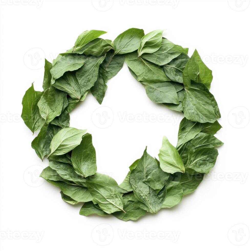 Fresh green leaves arranged in a circular pattern on a white background for decoration or design photo