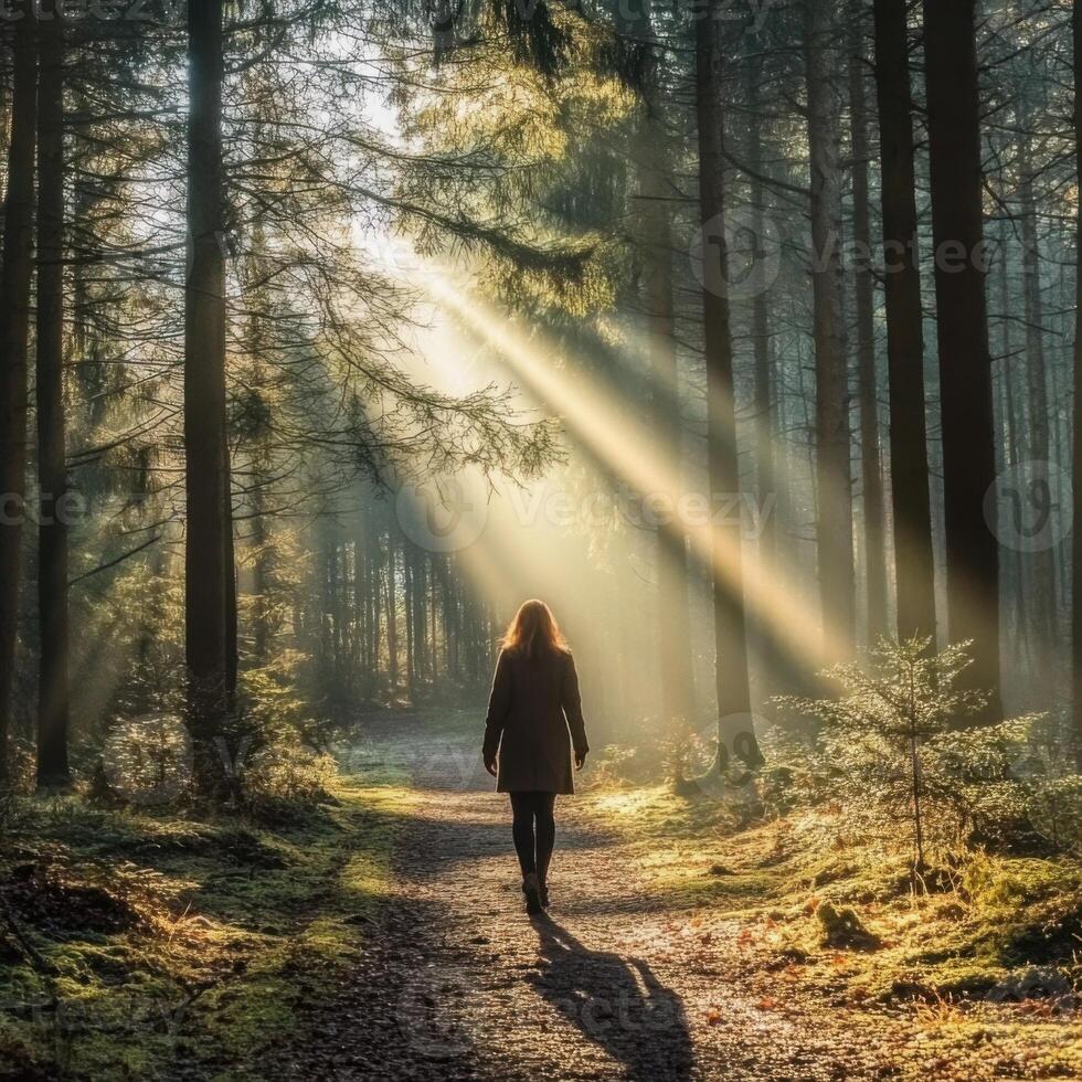 Sunlight filters through trees as a person walks along a forest path on a serene morning photo