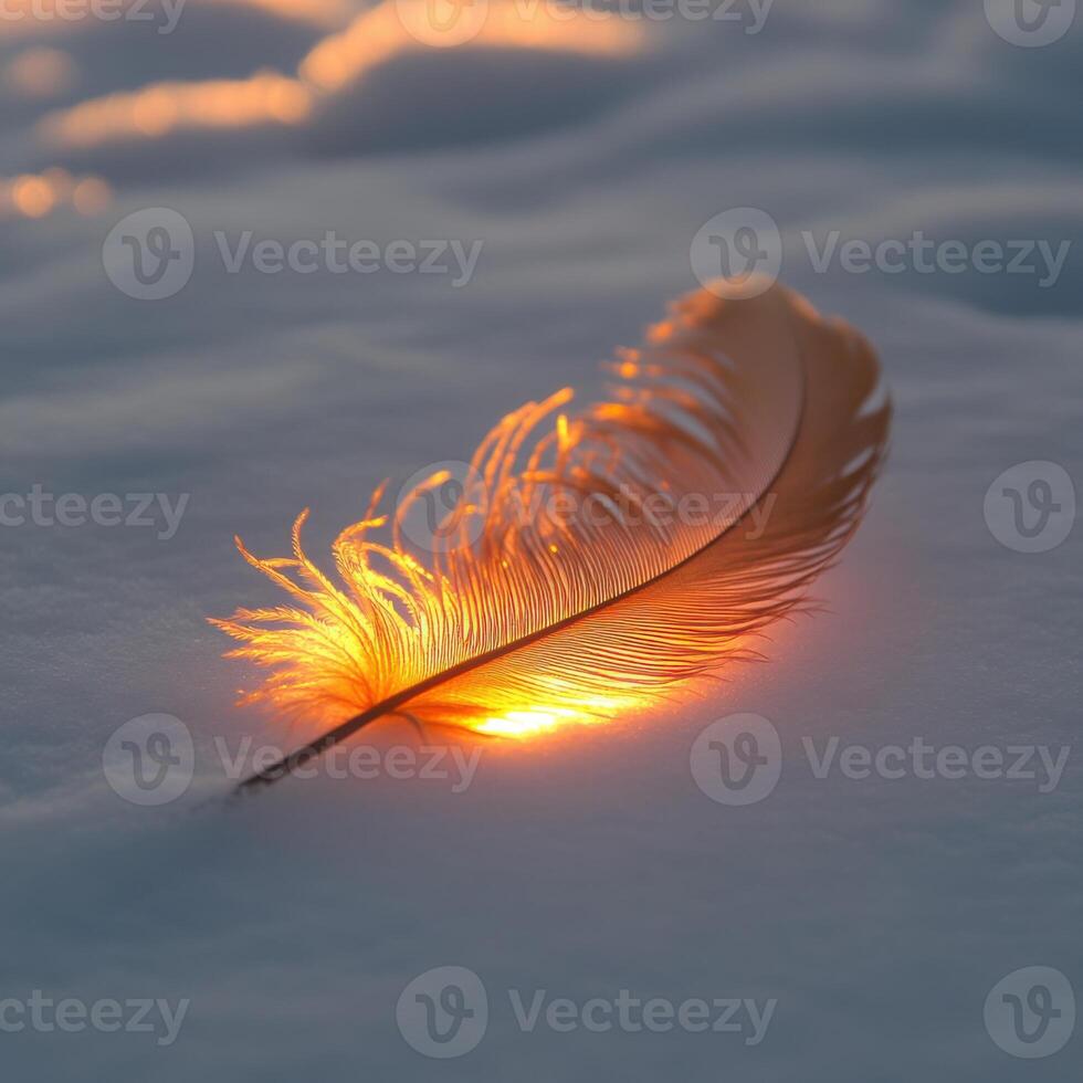 Feather resting on snow reflects golden sunlight at dawn by serene winter landscape photo