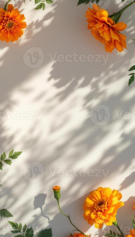 Golden Marigolds and Leafy Shadows Create a Sunny and Serene Composition photo