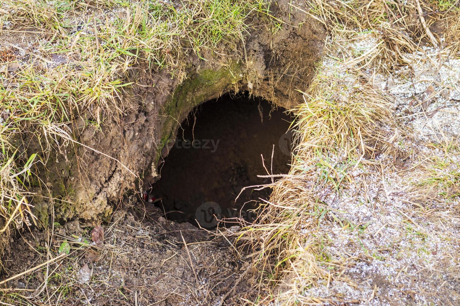 Shot of the hole in the soil. Background photo