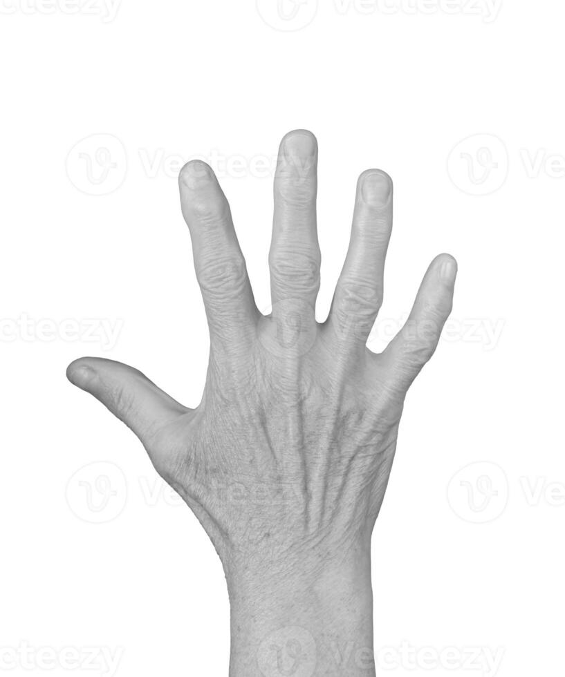 Open palm gesture. Senior woman s wrinkled hand with fingers spread wide and visible veins, photo