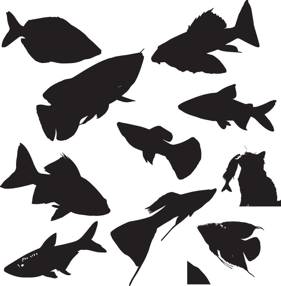 Fish Silhouettes set of fish silhouettes against a plain white background vector