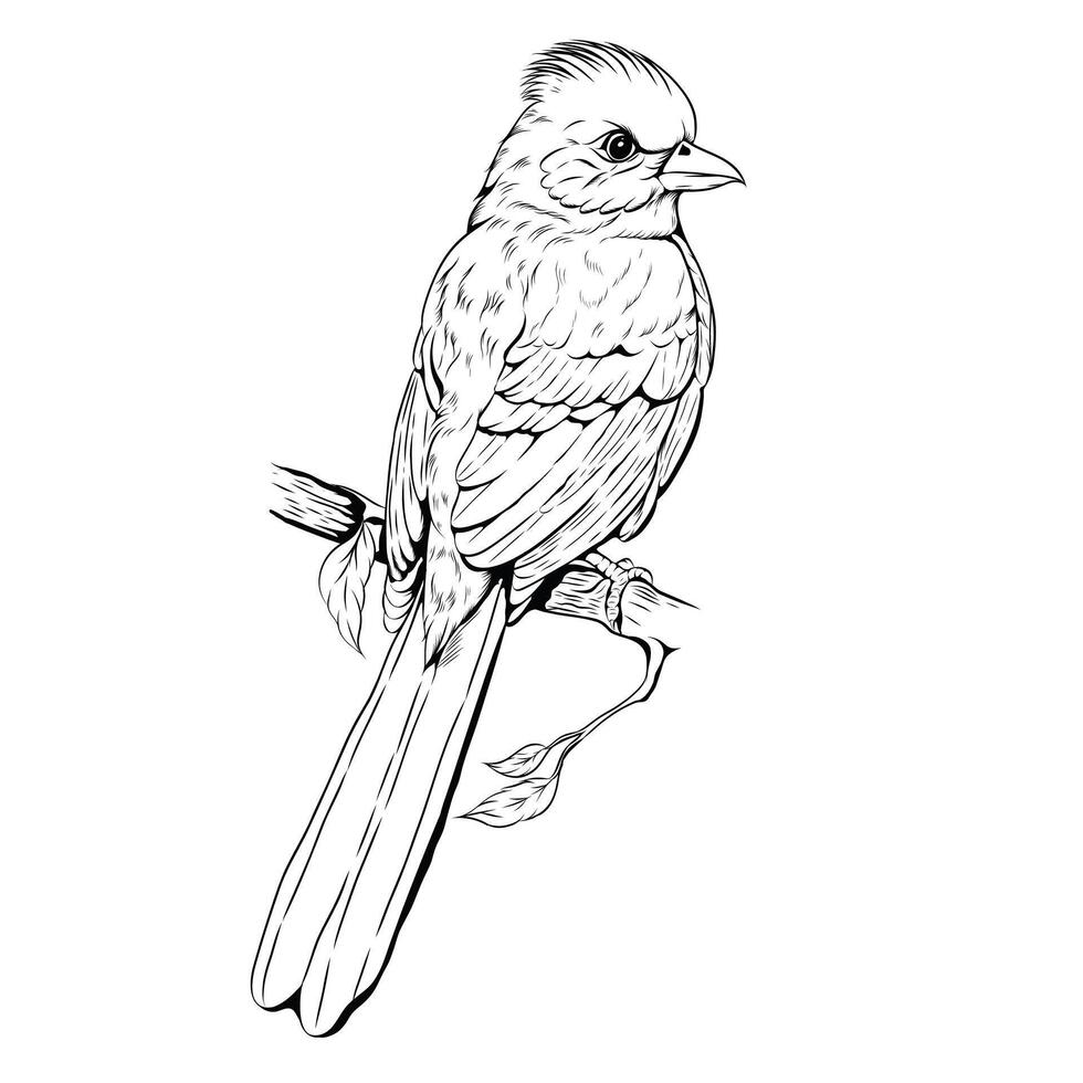 A bird is standing on the branch of tree illustration vector
