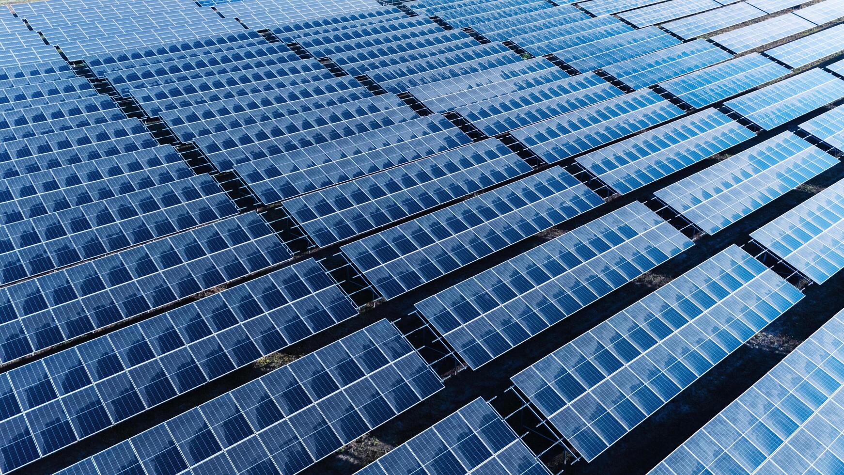 large field of solar panels is shown in the image photo