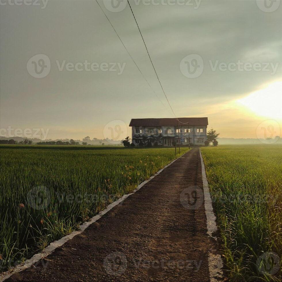 Sunrise over Paddy Fields with a Rustic House photo