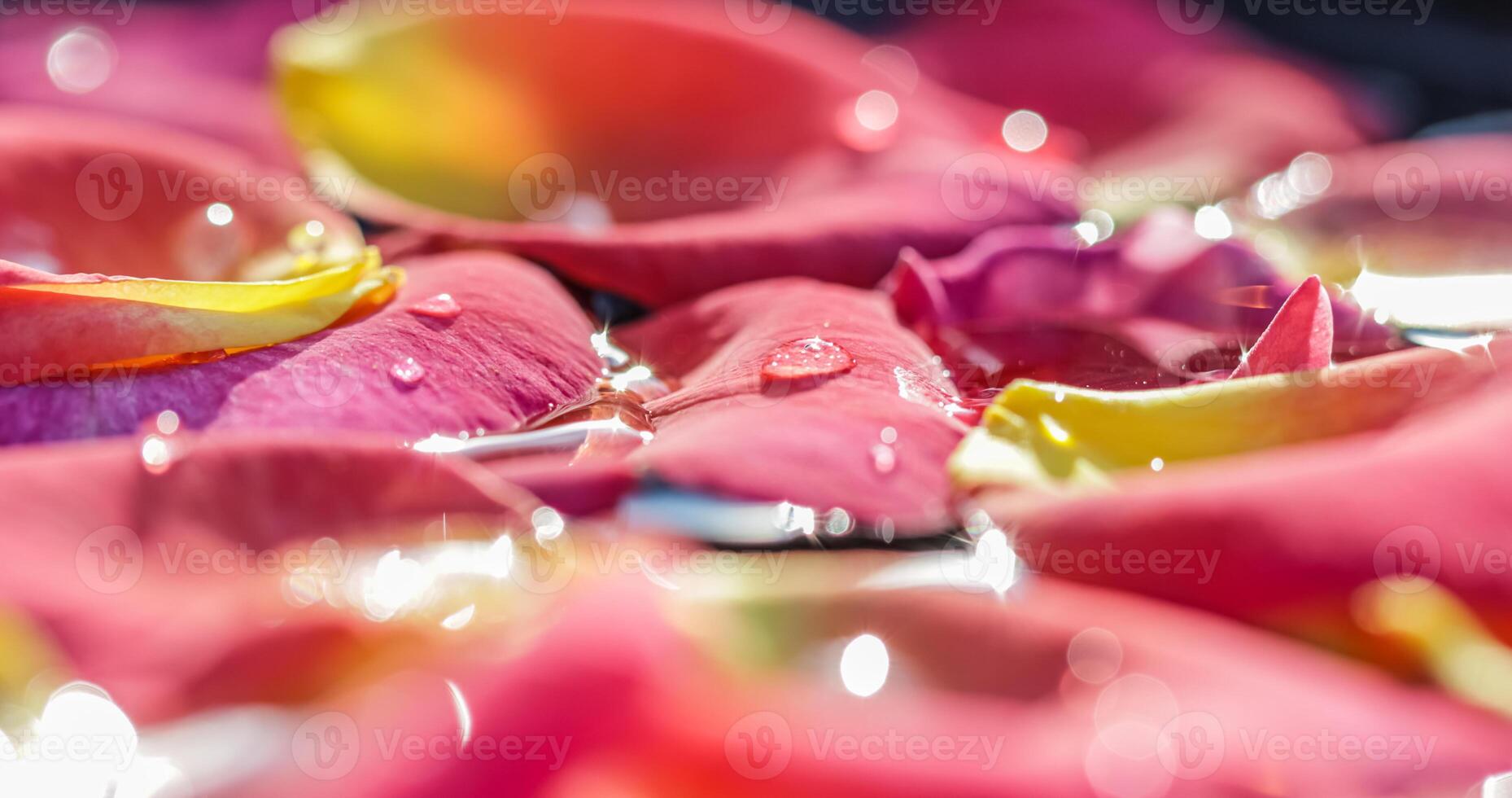 Red yellow rose petals on the water. Aromatherapy and spa concept. photo