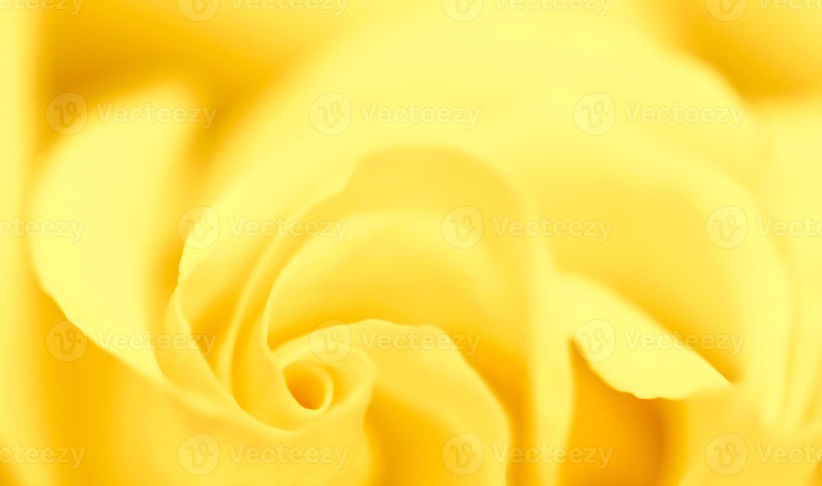 Soft focus, abstract floral background, yellow rose flower. Macro flowers backdrop for holiday brand design photo