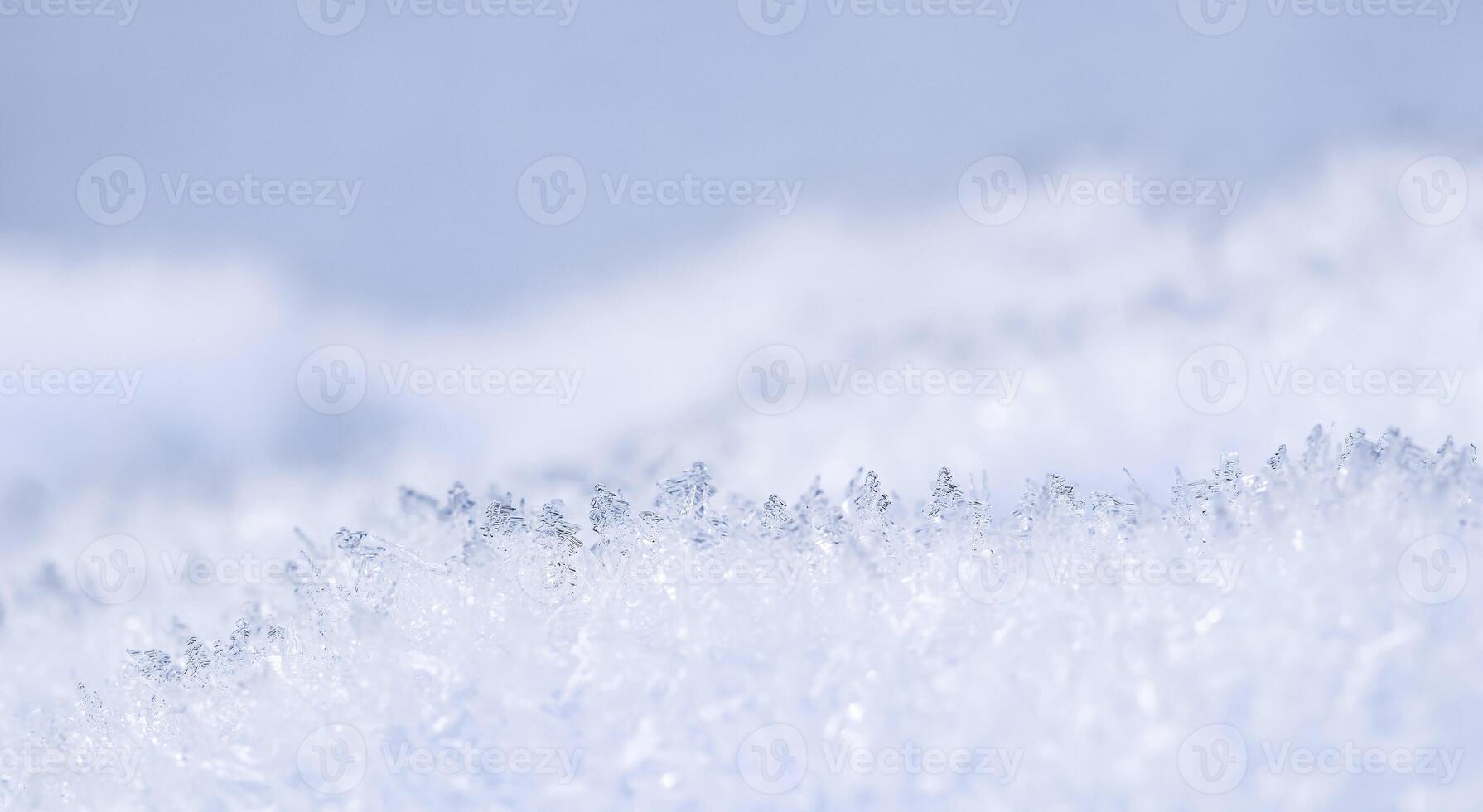 Fresh snow background. Natural winter backdrop. Texture in blue tones photo