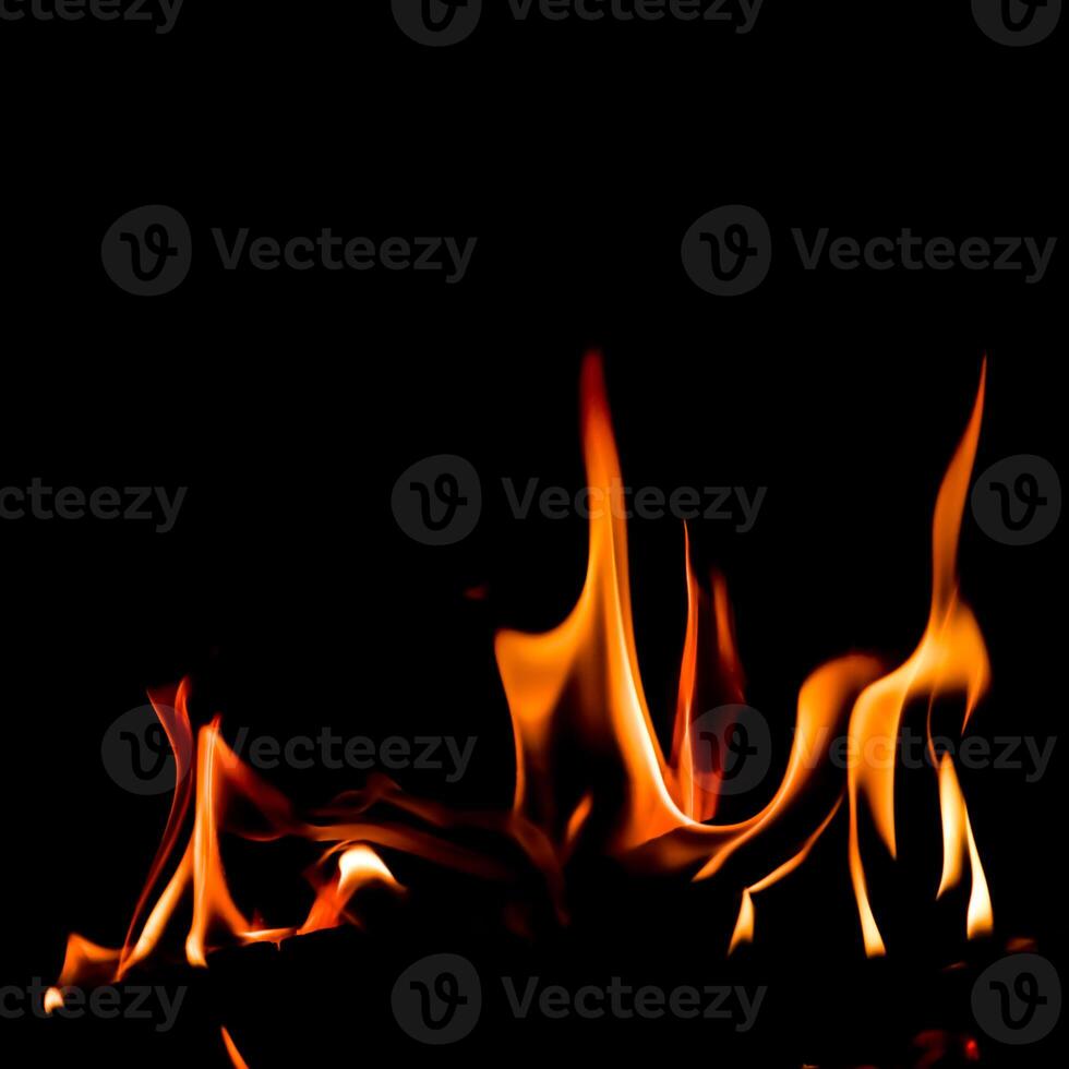 Fire flame isolated on black background. Space for copy photo