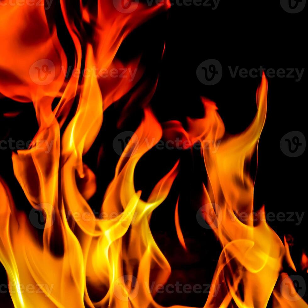 Flames of fire on a black background. The mystery of fire. photo