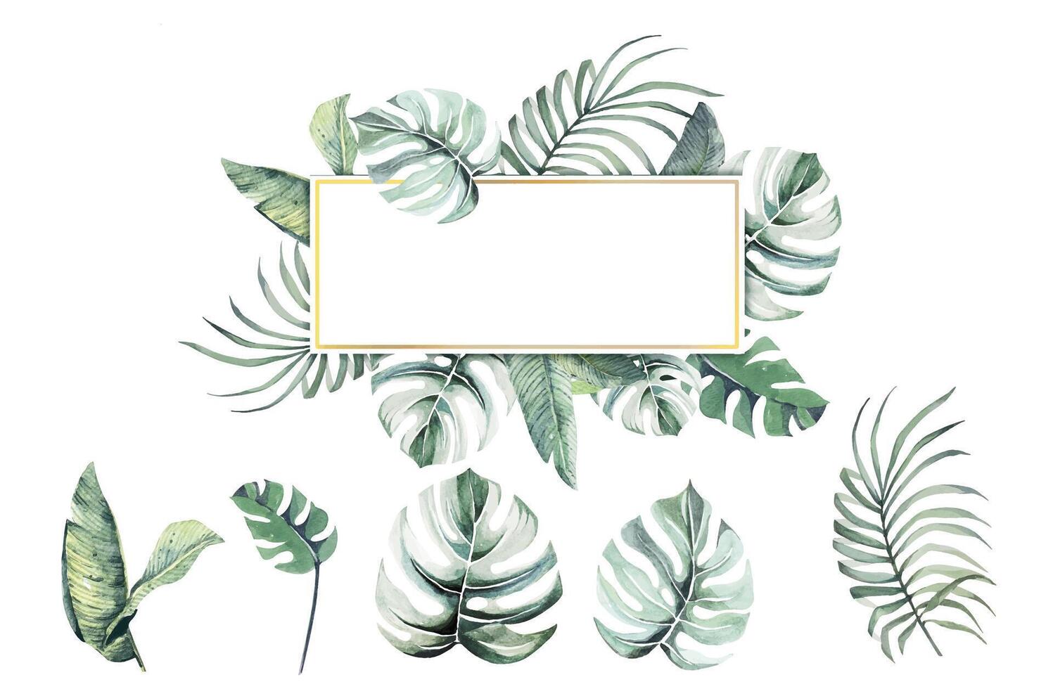 Tropical leaves background.Frame leaves with watercolor.Botanical background and wallpaper. vector