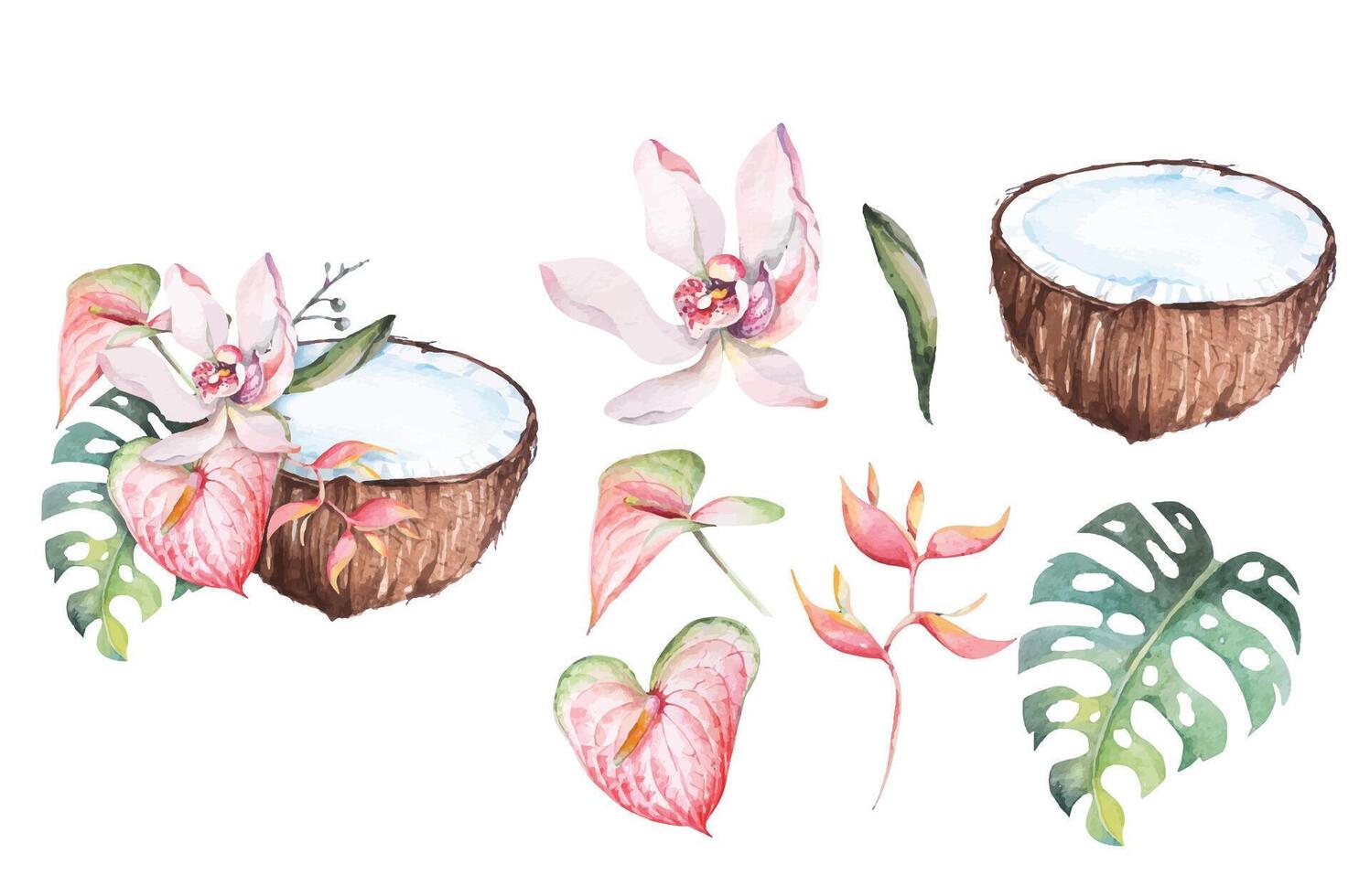 Coconut cocktail with flower hibiscus, plumeria and palm leaves Tropical beach for summer. vector