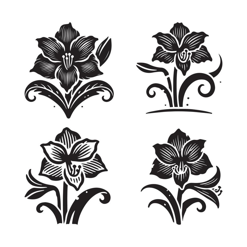 Amaryllis Silhouette Art for Nature Lovers and Botanical Graphics vector
