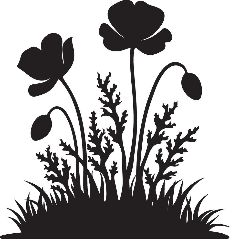 Poppy flowers and grass vector