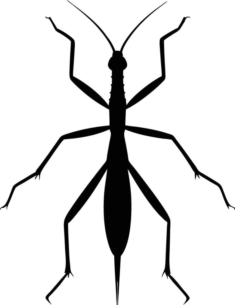 Black Stick insect silhouette illustration vector