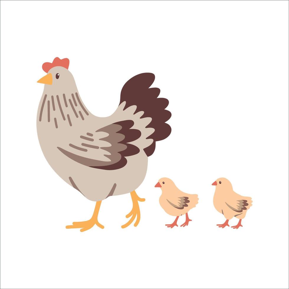 Hens and Chicks in Livestock Farming and Breeding vector
