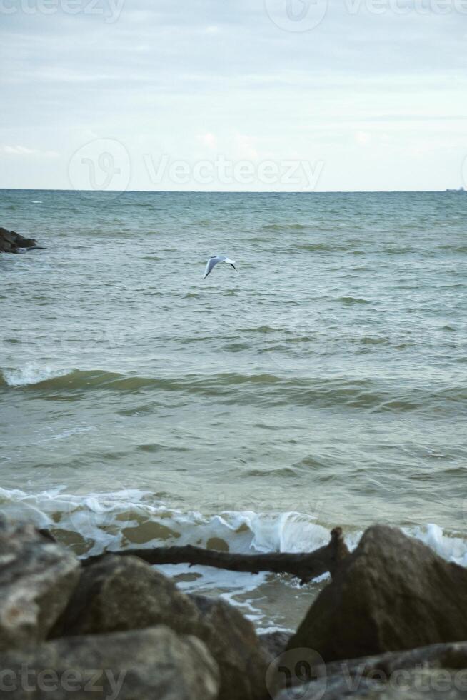 storm at sea. waves among rocks, horizon visible photo