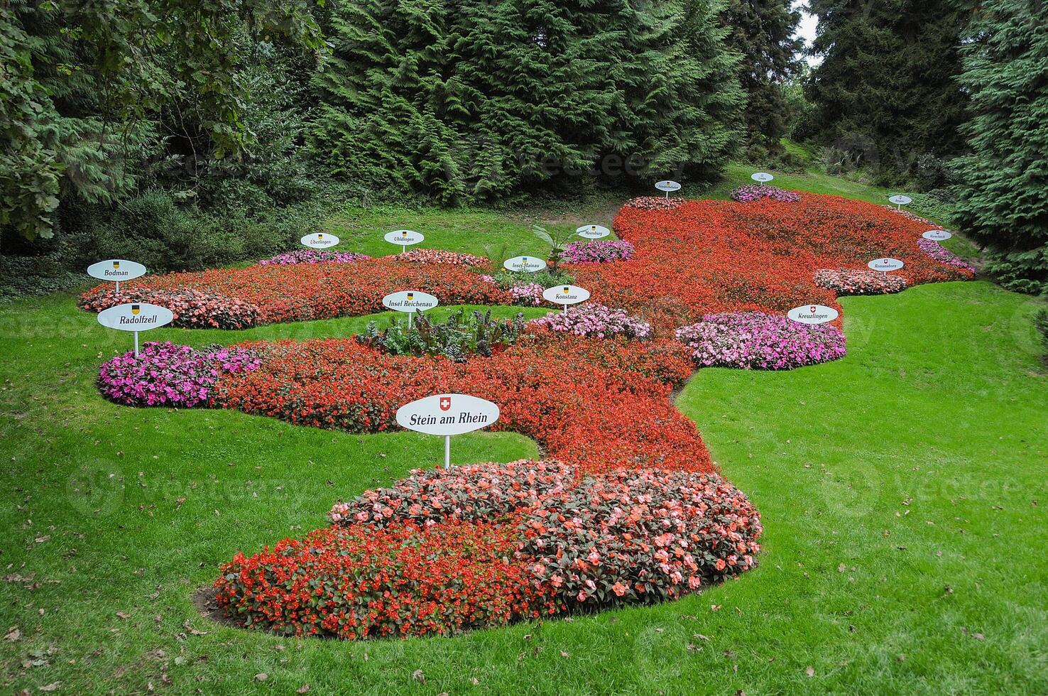 A flower garden with many different colored flowers photo